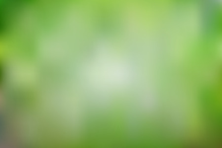 Abstract blurred gradient mesh background in bright and pastel green colors. Colorful smooth banner template. Easy editable soft colored vector illustration in EPS10 without transparency.のイラスト素材