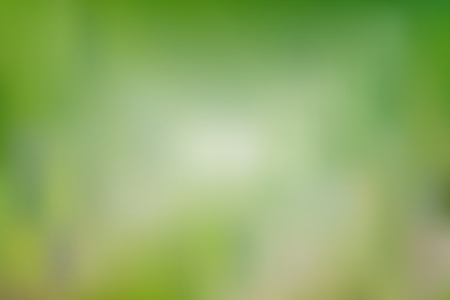 Abstract blurred gradient mesh background in bright and pastel green colors. Colorful smooth banner template. Easy editable soft colored vector illustration in EPS10 without transparency.のイラスト素材