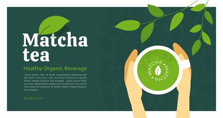 Cup of healthy organic beverage matcha tea in hands. Illustration of Japanese drink made from green powder. Branches of tea plant with leaves.のイラスト素材