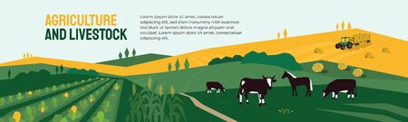 Background for agriculture or livestock company. Vector illustration of farm land, cows and horse in pasture, tractor on hayfield. Corn field, farming in countryside. Template for banner, print, flyerのイラスト素材
