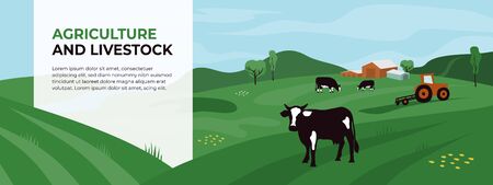 Template with copy space for agriculture, livestock or dairy company. Agricultural landscape with tractor and cows. Vector illustration of farm land, cattle, panoramic scene. Design for banner, flyer.のイラスト素材