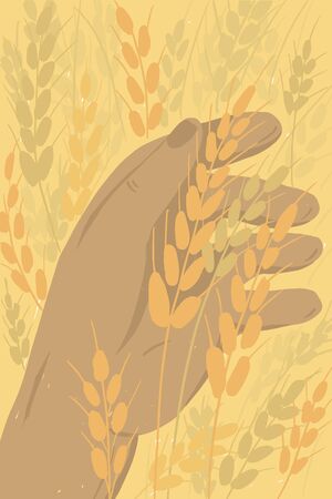 Farmer holding ears of wheat. Ripe grain in human hand. Man checking crop. Agricultural field in countryside. Agriculture or farming poster. Harvest in farm land vector illustration. Cover backgroundのイラスト素材