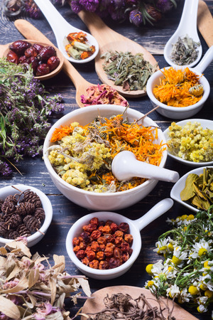 Herbs , berries and flowers on color wooden table backgroundの写真素材