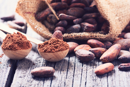 Cocoa beans . Ingredient for preparation chocolateの写真素材