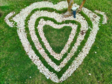Top view  of heart shape white stones on the grass for landscape design. Backdrop for Valentineâs day or romantic background for wedding post card or marketing advertismentの写真素材