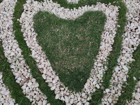 Top view  of heart shape white stones on the grass for landscape design. Backdrop for Valentineâs day or romantic background for wedding post card or marketing advertismentの写真素材