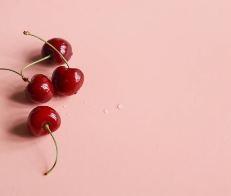 ripe sweet cherries on a pink background close up