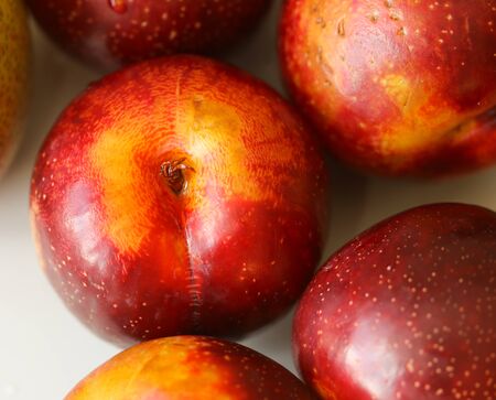 ripe juicy red plums on a white background macro photoの写真素材