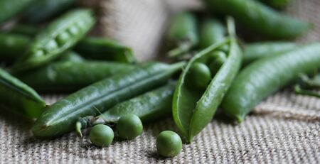 Green pea pods on a burlap close upの写真素材