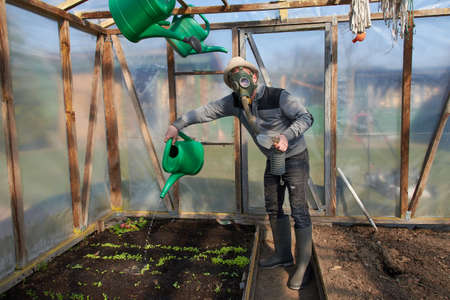 Farmer watering the beds in the greenhouseのeditorial素材