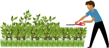the gardener trims the bushesのイラスト素材