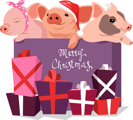 three cute little pigs in a gift box. symbol of the yearのイラスト素材