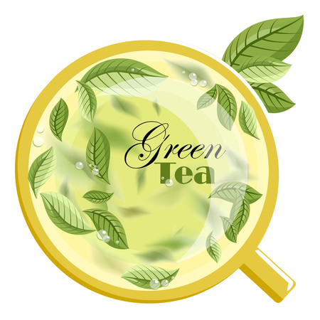 green tea. green tea leaves. green tea mug. vectorのイラスト素材