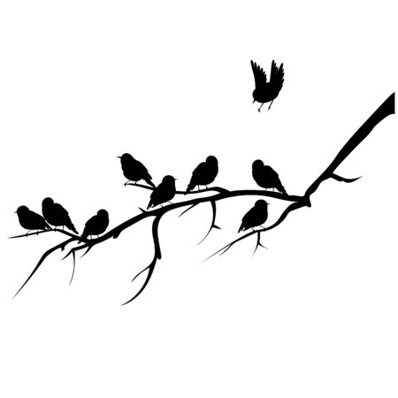 vector image of birds on a branch. silhouette of birdsのイラスト素材