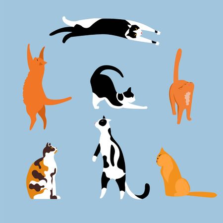 cat. a set of vector isolated illustrations with Pets. cats of different breedsのイラスト素材