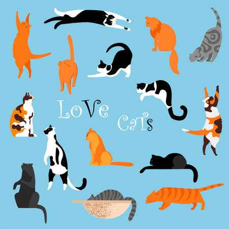 cats. a set of vector isolated images of cats. cats in different posesのイラスト素材