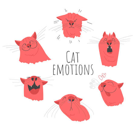 cat emotions. a set of vector illustrations with the head of cats. different emotions. funny pictures with catsのイラスト素材