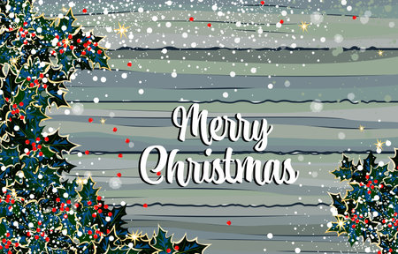 christmas banner. Merry Christmas. inscription on the board. vintage boards. holly leaves in the snowのイラスト素材
