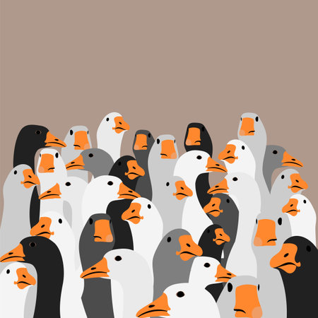 goose. a flock of geese. poultry of various colors. goose head. vector imageのイラスト素材