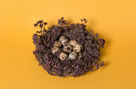 Quail eggs in a nest decorated with dried flowers on a yellow background. Easter. Close-up.の写真素材