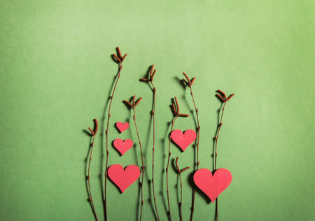 Birch branches with earrings and red wooden hearts on a green background. Spring, Abstraction. View from above.の写真素材