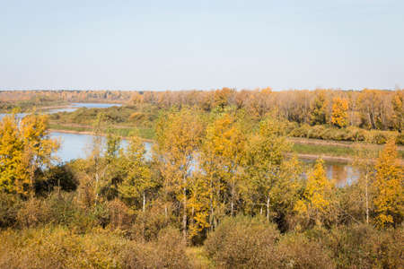 Scenery. Riverbed. The blue sky is reflected in the water. Autumn meadows and trees are yellow.の写真素材