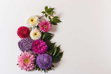 Bouquet of colorful aster flowers on a white background. Autumn composition with green leaves. Isolated.の写真素材