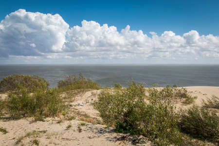 Landscape by the sea with sand dunes, blue sea, white clouds and green bushesの写真素材