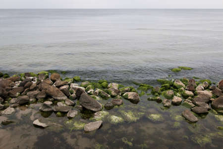 Seascape with gray water, brown stones and green algae on the sandy shore. Landscape.の写真素材
