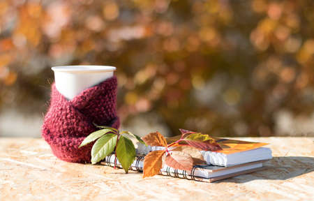 A cup of coffee is wrapped in a burgundy woolen scarf. Notepads and autumn leaves lie on a wooden surface. Natural background of garden trees. Bokeh.の写真素材