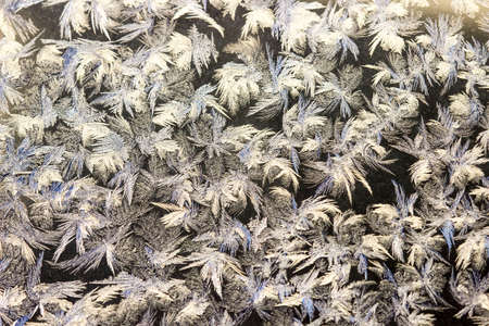 The texture of the glass is covered with frost in winter in cold weather. Abstract natural background. Macro.の写真素材