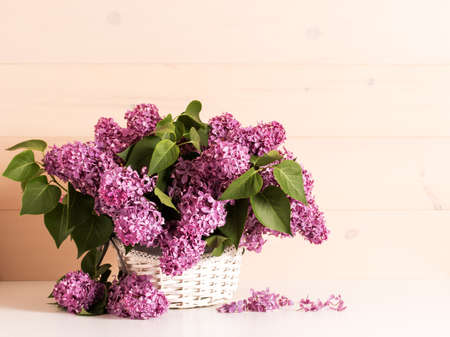 Still life with branches of fragrant lilacs with green leaves in a basket on a white table.の写真素材