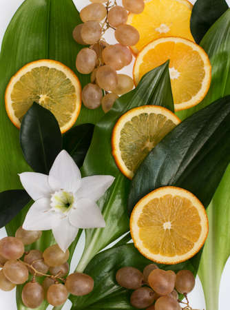 Natural background. On the green leaves are bunches of grapes, orange circles and one white flower. Decoration made from natural materials.の写真素材