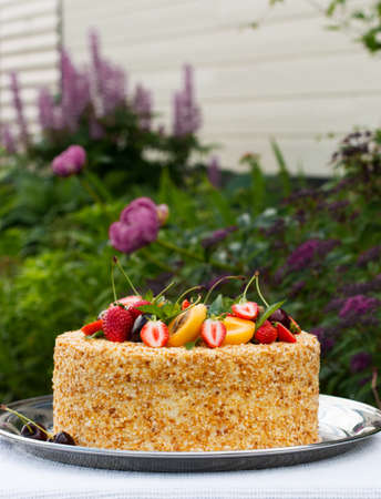 Cake for a garden party on a background of pink flowers and greenery. The dessert is decorated with fresh berries and fruits. Yellow apricots, red strawberries, burgundy cherries, green mint.の写真素材