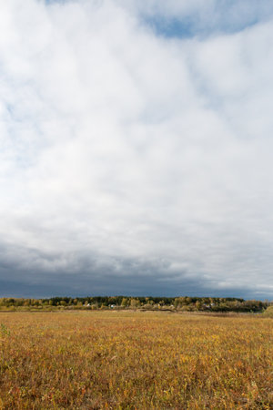 Autumn landscape. Above a field with red grass, a sky with white clouds. A front of cold, gray clouds with snow is approaching. In the background is a forest and a residential area. Countryside.の写真素材
