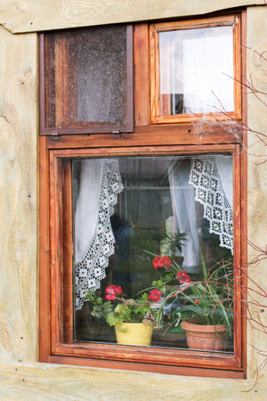 Vintage window in a wooden, rural house. There are flower pots with red flowers and white curtains...