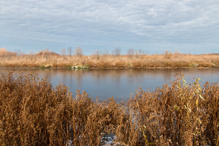 Natural lake in the countryside, the water is covered with the first ice, which reflects the blue sky. The shore is covered with dry grass. Autumn, sunny, frosty day.の写真素材