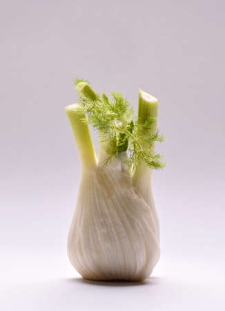 Organic fennel with leaves isolated on a white background.の写真素材