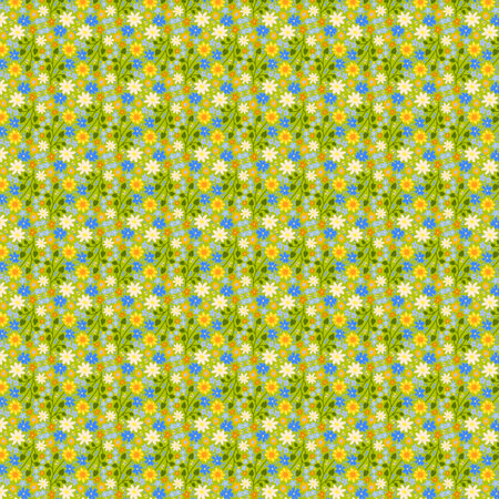 Bright joyful summer print Multicolor flowers and small butterflies on a green background Cute seamless Ditsy floral pattern Fabric, wallpaper, wrapping paper Rustic, rustical, cottage, country; farm house styleの写真素材