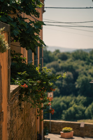sunlit terrace with flowering pots, terraced balcony offering serene village views and floral decorの写真素材