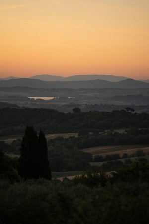 calm evening scene with solitary tree, silhouetted foliage against tranquil orange evening skylineの写真素材