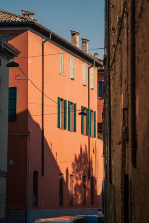 orange wall with distinct tree shadow and window shutters, parma strong graphic light and texture