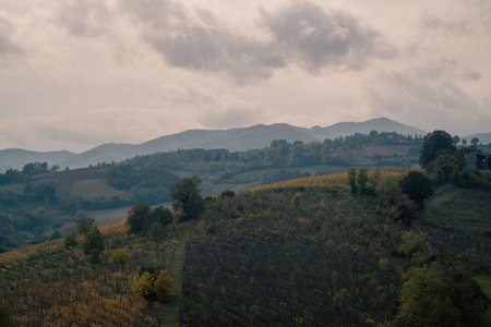 scenic vista showcasing colorful foliage and rolling agricultural hills beneath turbulent skiesの写真素材