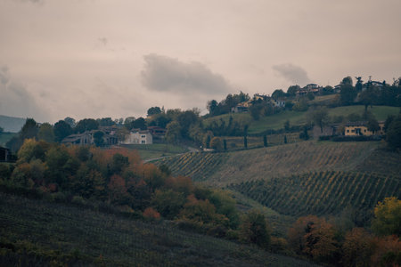 rural landscape scene, autumn rural homes and vineyards, cozy hillsides with vineyards and autumn...