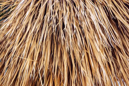 texture of dry palm leaves or strawの写真素材