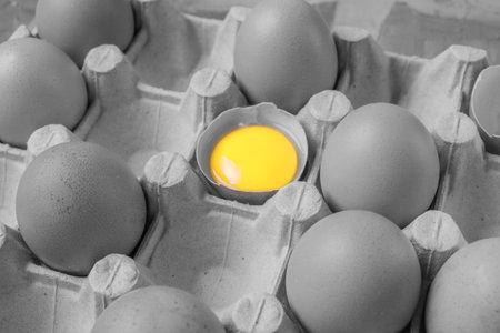 bright yellow yolk in a broken egg against a discolored gray image of egg cartonの写真素材
