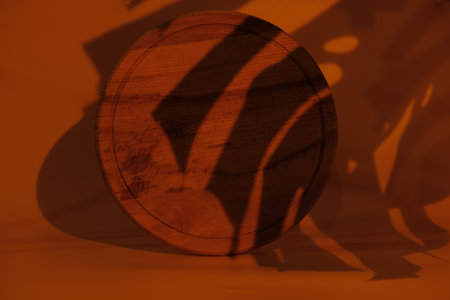 Wooden round background in the light of a sunset lamp. The monstera leaf casts a shadow on the background. Background at the golden hour.の写真素材