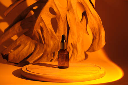 Glass vial bottle of essential oil or serum for facial care on a wooden round podium in the light of a sunset lamp. In the background, a dried brown monstera leafの写真素材