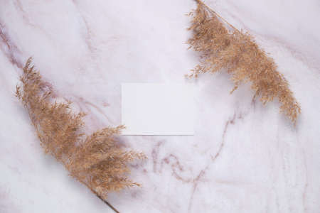 Boho decor. Dried reeds on the table. Top view of pampas grass. Simple background with metosm for text.の写真素材