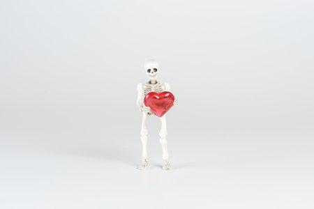 A toy figure of a skeleton on a white background holds a red heart-shaped stone in his hands.の写真素材